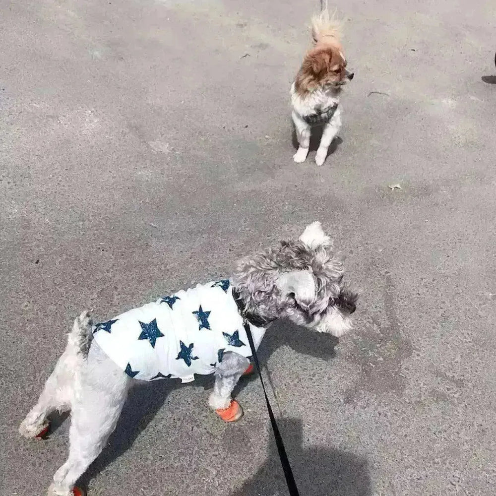 Vêtements confortables en coton à la mode pour animaux de compagnie - EX-STOCK CANADA