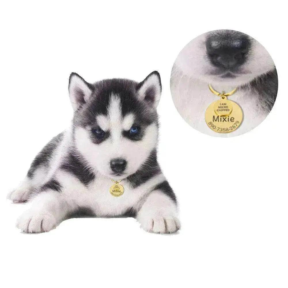 Funny Personalized POD Collar Pet ID Tag Keychain - EX-STOCK Canada