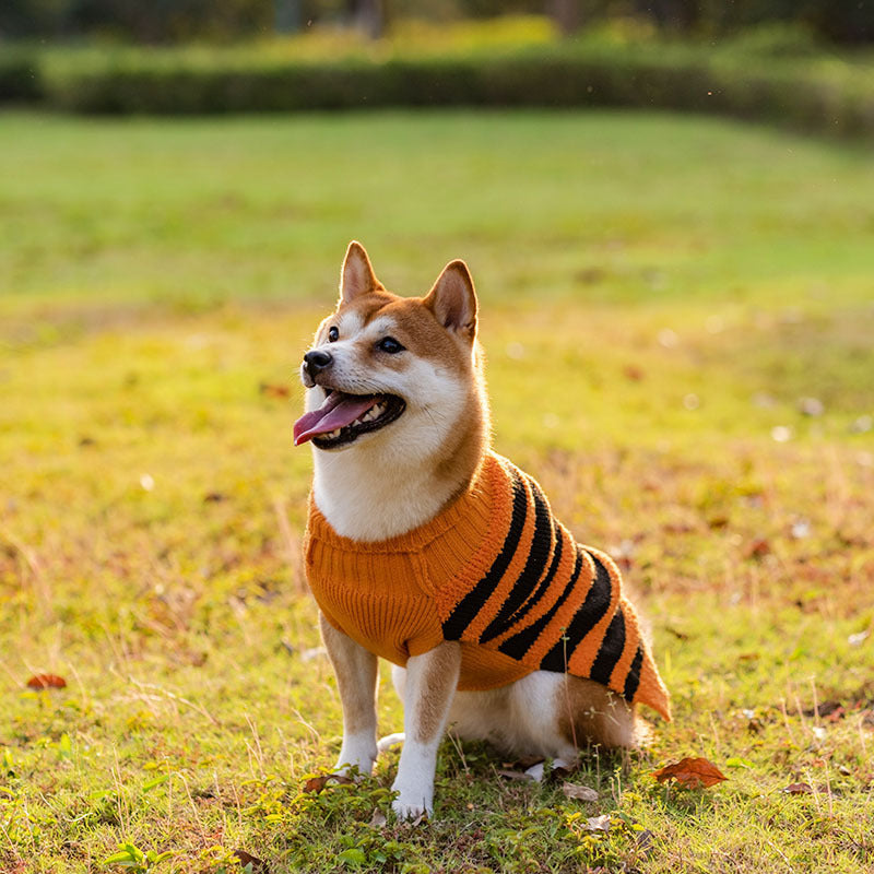 Halloween Dog Sweaters Pet Costume Teddy Warm Leisure Sweater Cosplay Clothes For Dogs Pets Outfits EX-STOCK Canada
