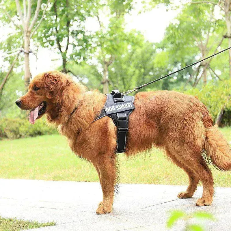 Personalizzazione di Alta Qualità della Cinghia del Pettorale / Guinzaglio per Animali EX-STOCK Canada