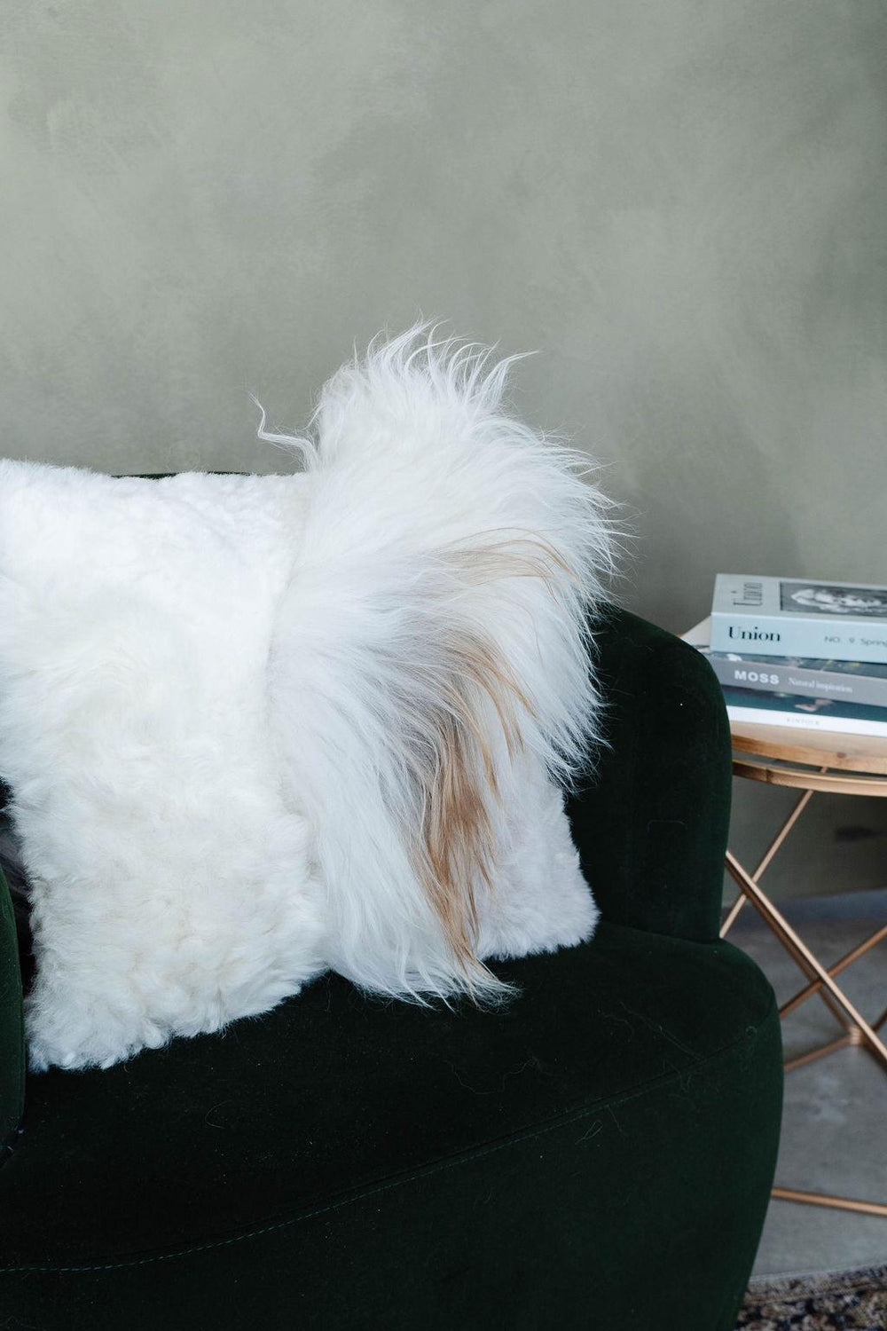 Coussin en peau de mouton mélangée, laine droite
