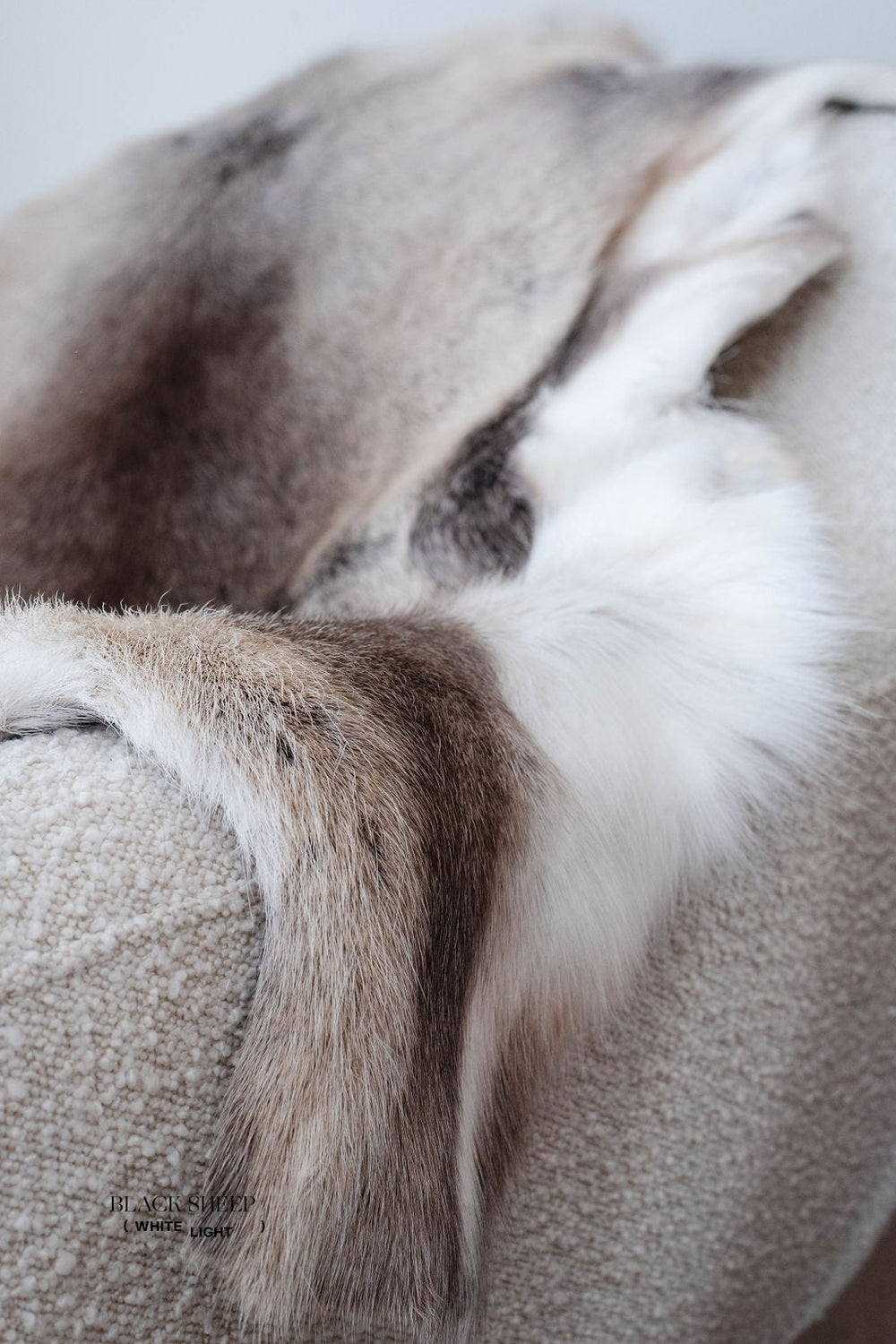 Light Sami Reindeer Hide EX-STOCK Canada