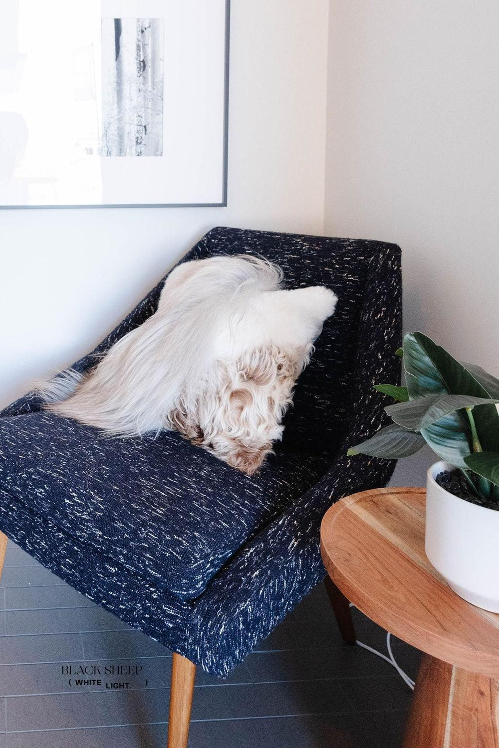 Coussin en peau de mouton mélangée, laine droite