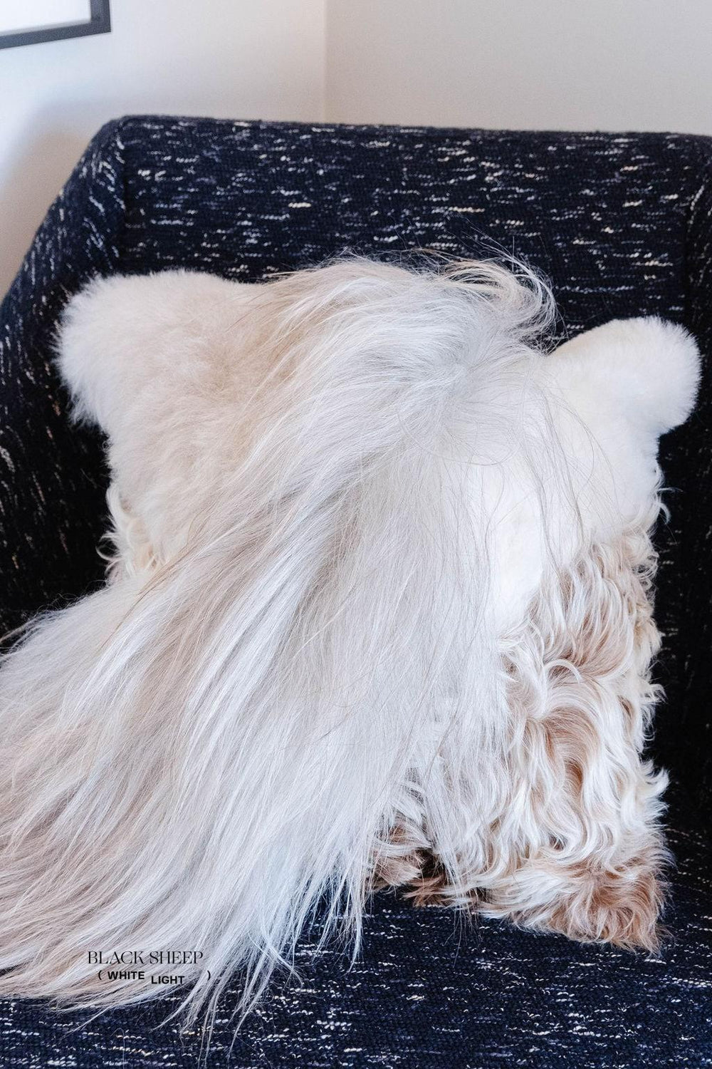 Coussin en peau de mouton mélangée, laine droite