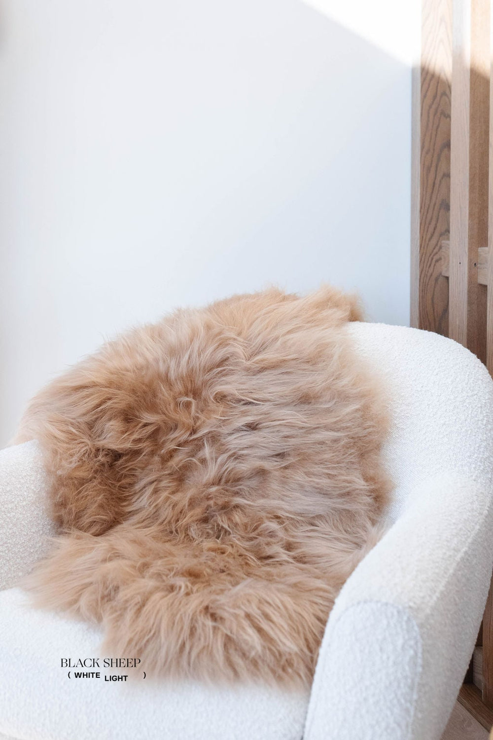 Camel Icelandic Sheepskin EX-STOCK Canada