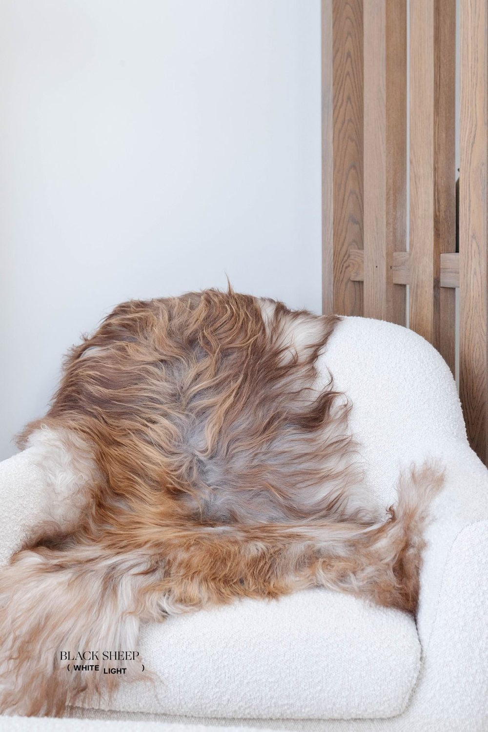 Seltenes rostgraues isländisches SchaffellEX-STOCK Canada