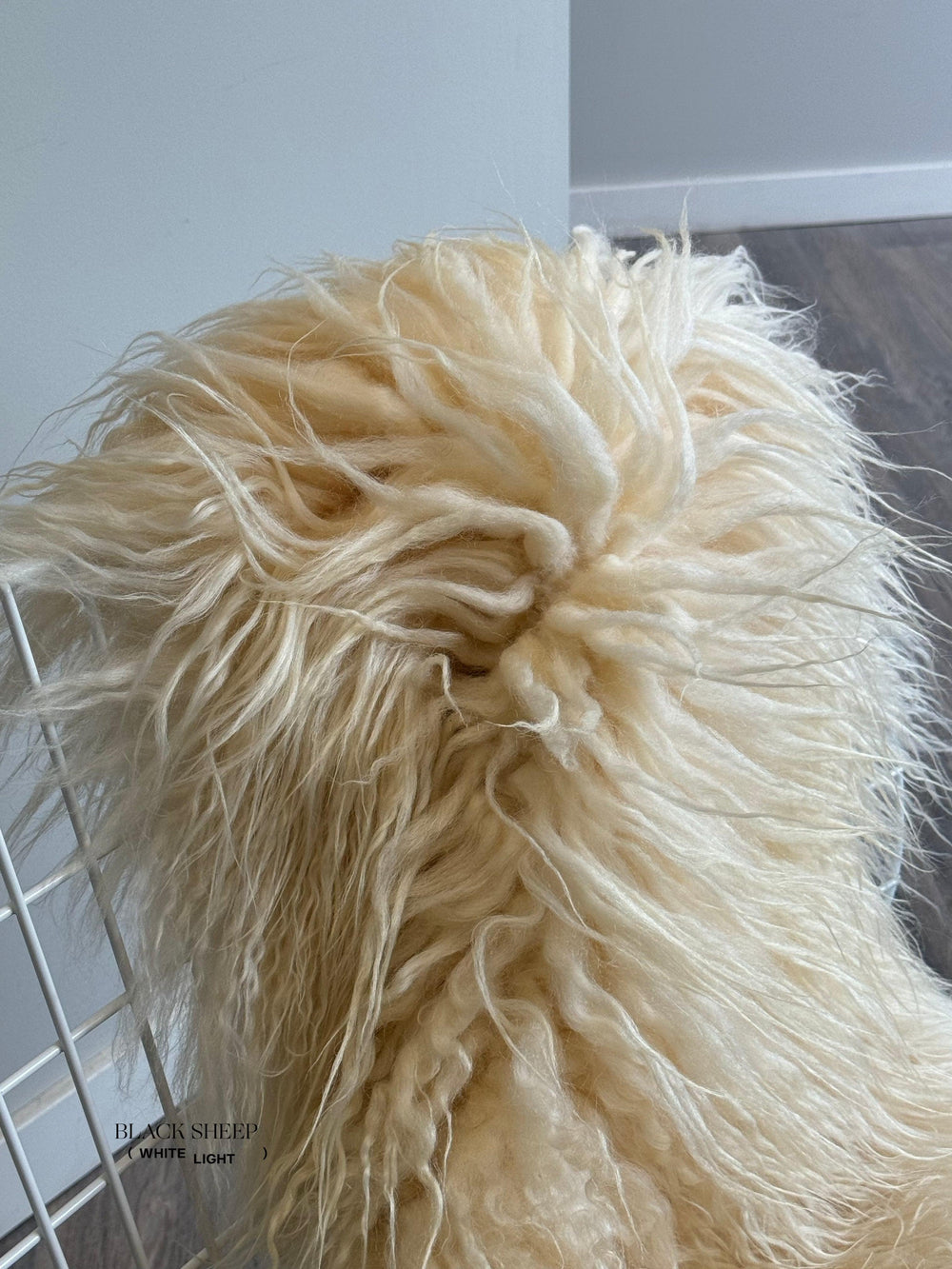 Peau de mouton islandaise bouclée blanche