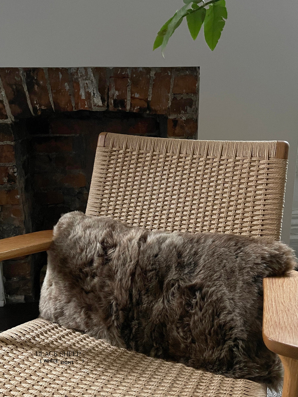 Housse de coussin rectangulaire en peau de mouton islandaise brune tondueEX-STOCK Canada