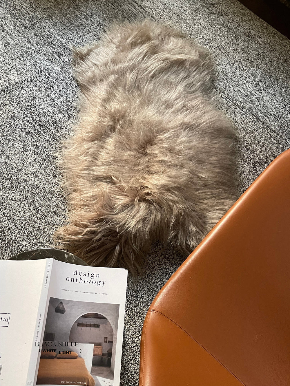 Camel Icelandic Sheepskin EX-STOCK Canada