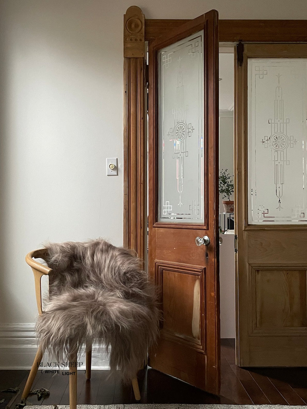 Taupe Isländisches SchaffellEX-STOCK Canada