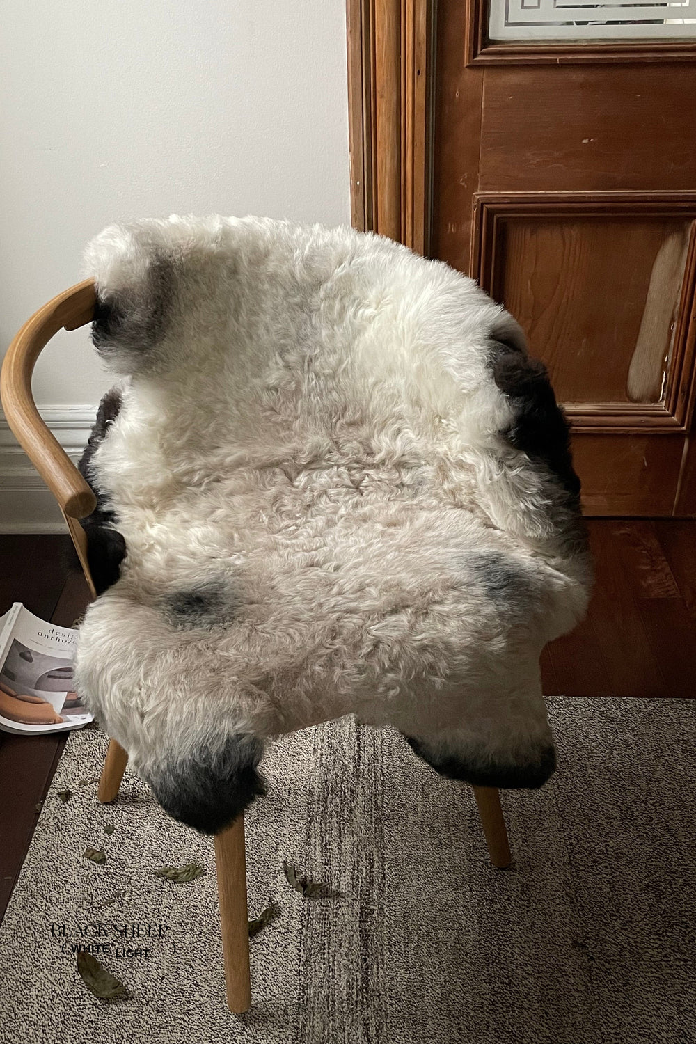 Shorn Dark Grey Edge Icelandic Sheepskin
