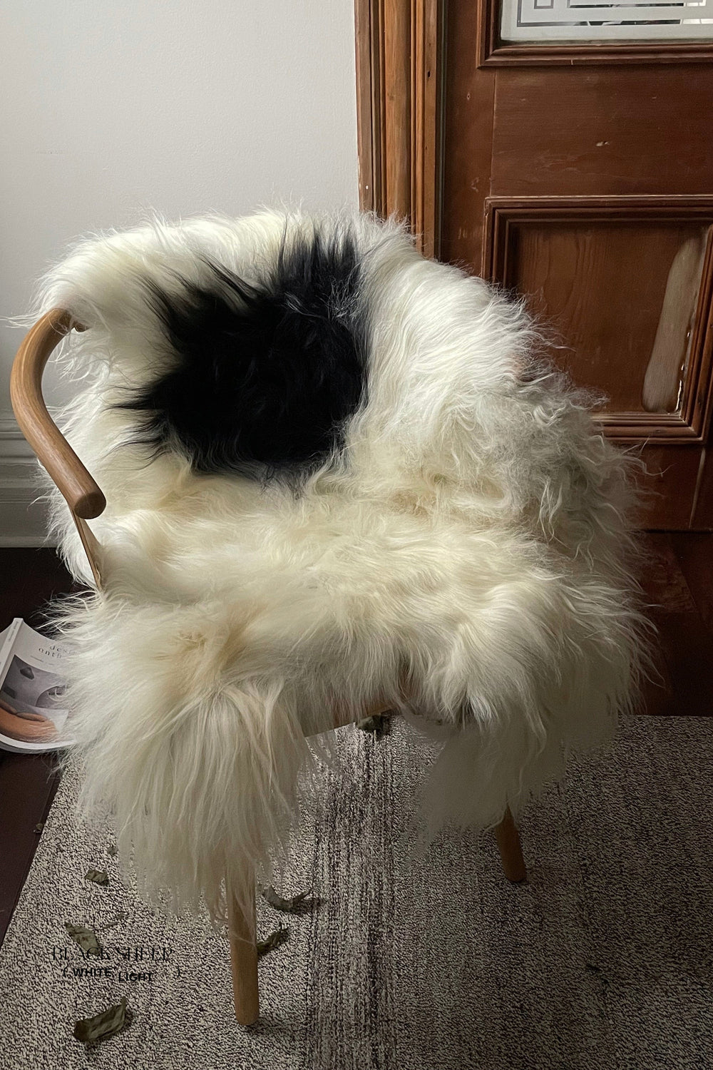 Black Spotted Icelandic Sheepskin | Random