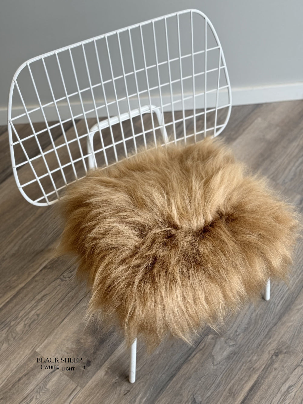 Camel Icelandic Sheepskin Chair Pad EX-STOCK Canada