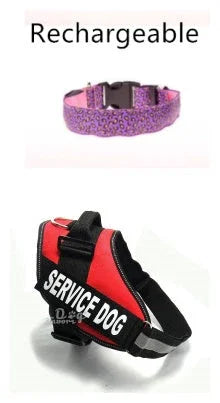 LED Dog Collar Safety Adjustable Nylon Leopard Pet Collar EX-STOCK Canada