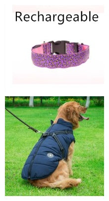 LED Dog Collar Safety Adjustable Nylon Leopard Pet Collar EX-STOCK Canada