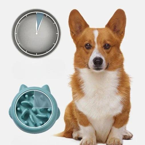 Pet Dog Cat Slow Feeder Bowls Anti Choking Slow Feeder Dish Bowl Home Dog Eating Plate Anti Gulping Bowl Supplies EX-STOCK Canada