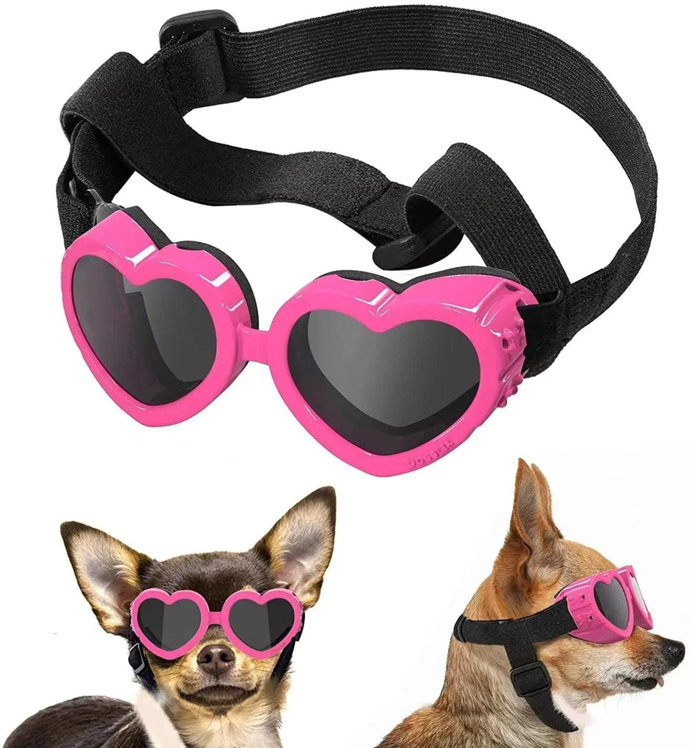 Pet Glasses Windproof Eye Protection Accessories EX-STOCK Canada