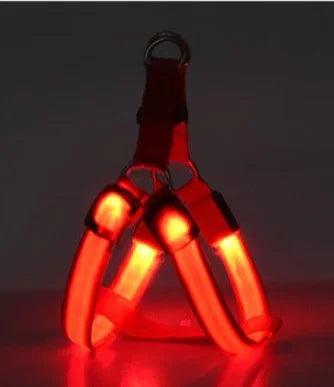 Pet Products LED Luminous Dog Chest Strap Large Dog Luminous Dog Leash EX-STOCK Canada