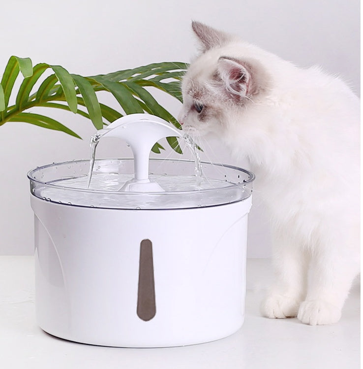 Distributore d'Acqua per Animali Domestici Intelligente Automatico con Filtro a CircolazioneEX-STOCK Canada