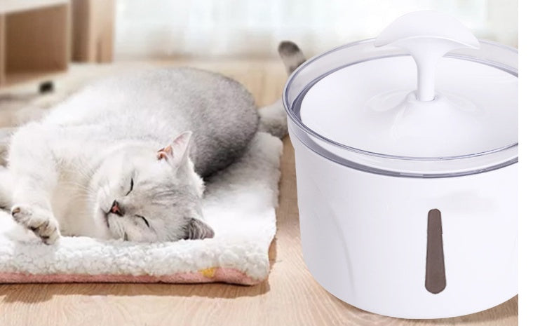 Distributore d'Acqua per Animali Domestici Intelligente Automatico con Filtro a CircolazioneEX-STOCK Canada