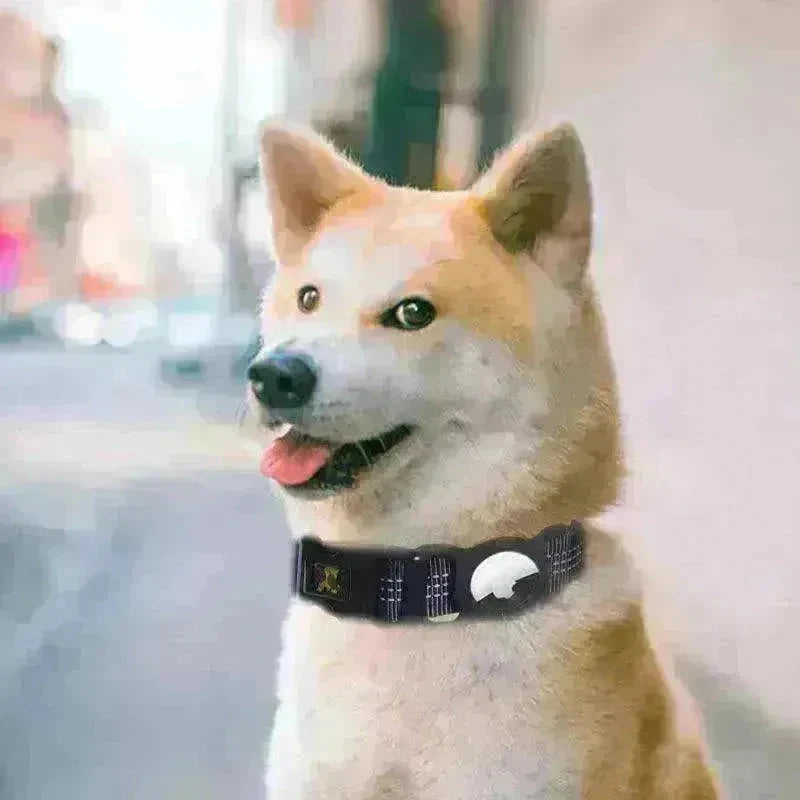 Pet's Mobile Phone Tracker and Protector collar - EX-STOCK CANADA