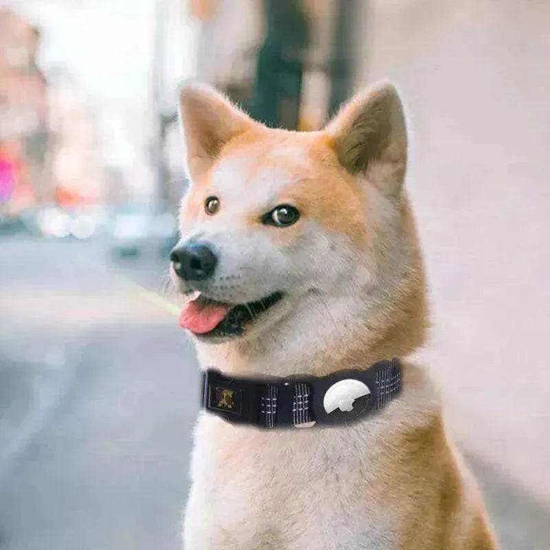 Pet's Mobile Phone Tracker and Protector collar - EX-STOCK Canada