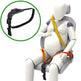 Pregnant women's safety belts, prenatal care with anti-belts - EX-STOCK Canada