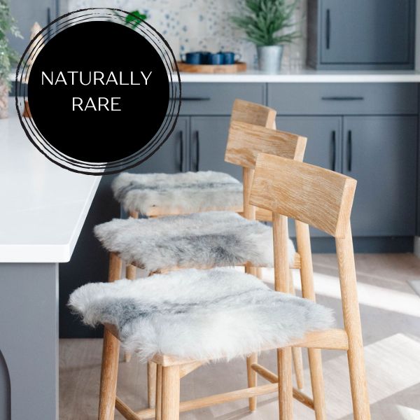 Geschorenes graues isländisches Schaffell-StuhlkissenEX-STOCK Canada