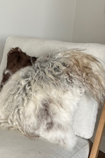 Mélange Sheepskin Pillow, curly wool