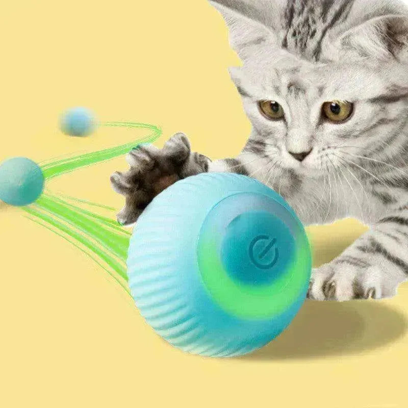 Juguete de Bola de Gravedad Eléctrica Recargable por USB para gatitos - EX-STOCK CANADA