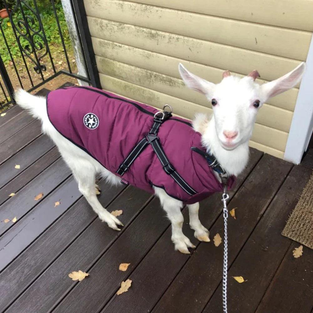 Waterproof Dog Clothes Winter Dog Coat With Harness Warm Pet Clothing Big Dog Jacket Chihuahua Labrador Coat Costume EX-STOCK Canada