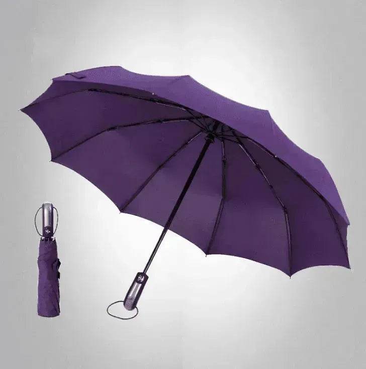 Windproof Auto Luxury Umbrella for Rain, Black Coating - EX-STOCK Canada