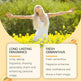 ROXELIS Osmanthus DopamineGilding Perfume Spray Long-lasting Light Perfume - EX-STOCK Canada