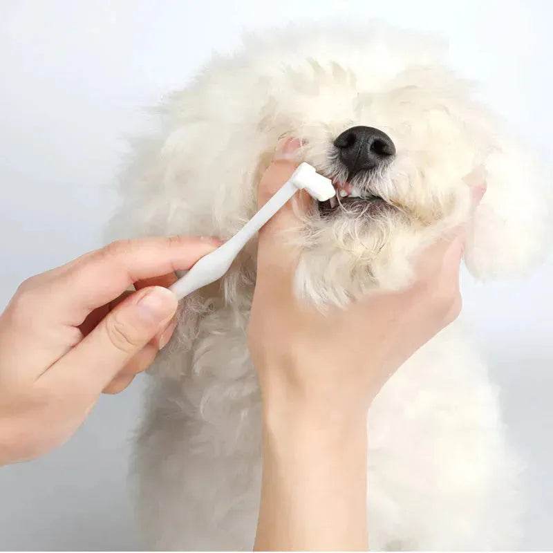 Buy 3pcs Pet Oral Care Kit Dog Cat Dental Care - EX-STOCK Canada