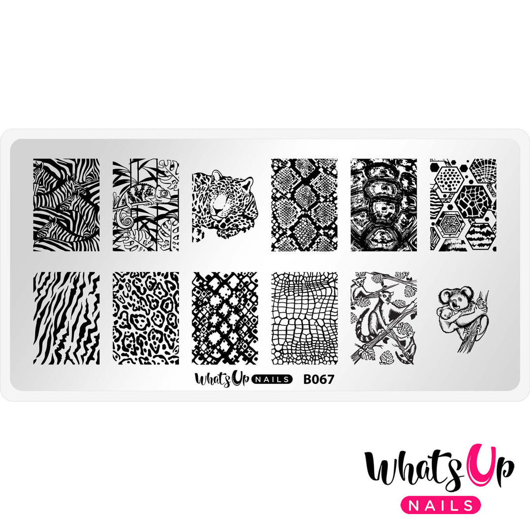Whats Up - Zoology Trip Stamping Plate EX-STOCK Canada