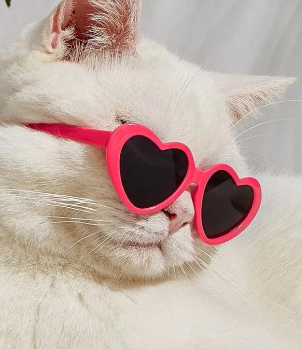 Doll Sunglasses Pet Toy Accessories EX-STOCK Canada