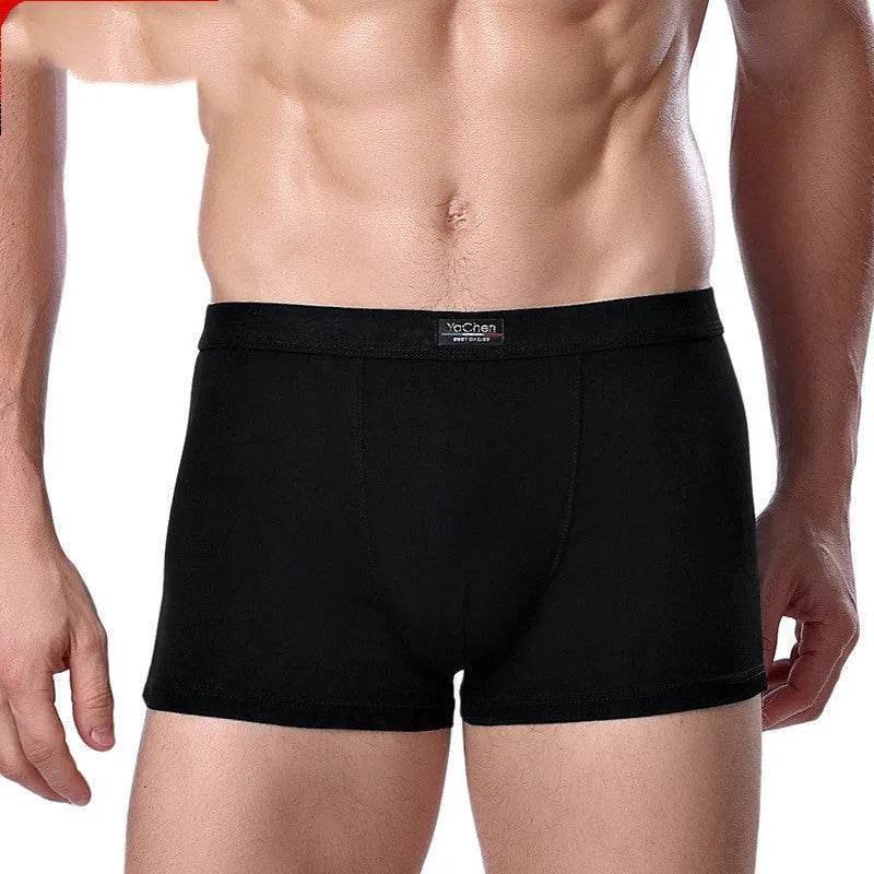 Men's Underwear Boxer Briefs Panties Bamboo Fiber Modal - EX-STOCK Canada