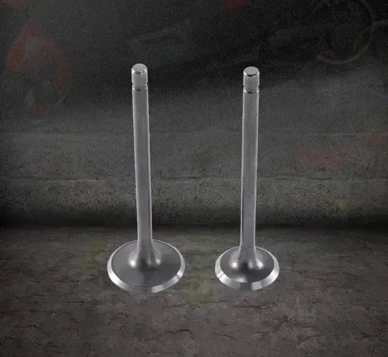 2pcs Motorcycle Moteur Nez en alliage en alliage Valve CG125