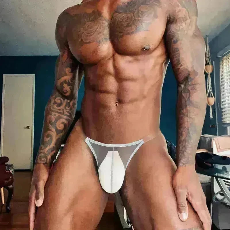 Lightweight High-fork Briefs Transparent Underwear Breathable - EX-STOCK CANADA