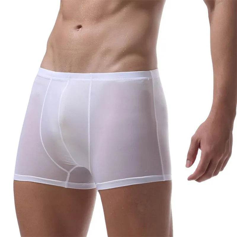 Ice Silk Transparent Elastic Boxer briefs Pant underwear for men - EX-STOCK CANADA