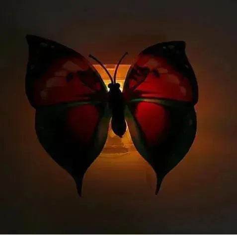 Butterfly led night light x12 - EX-STOCK Canada