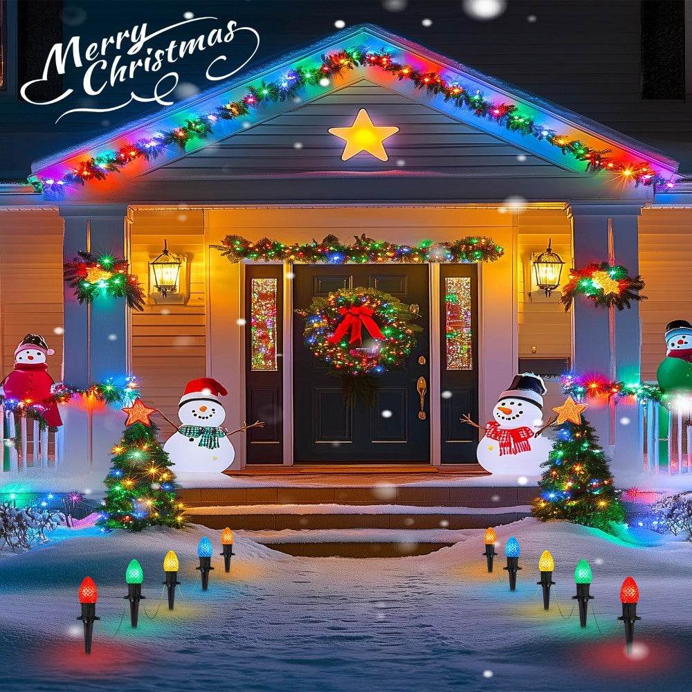 Christmas Solar C9 Strawberry Floor Plug Multicolored Rope String Lights 20pcs - EX-STOCK Canada