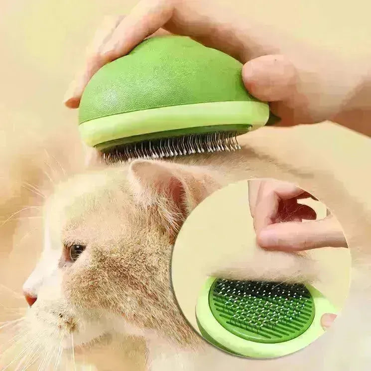 Cat Brush Hair Remover Cleaning Avocado Shaped Dog Grooming Tool Pet Combs Brush Stainless Steel Needle Pet Cleaning Care - EX-STOCK CANADA