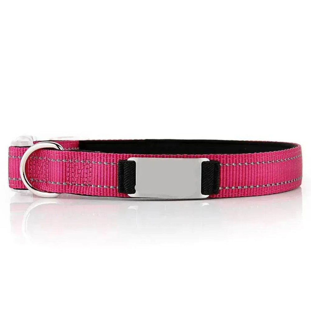 Customized Nylon Dog Collar - EX-STOCK Canada