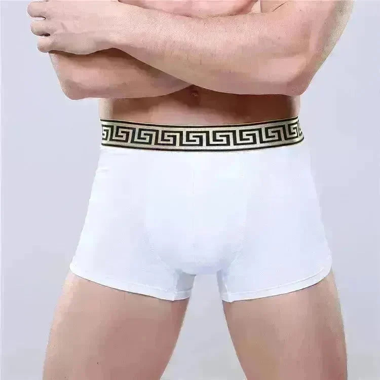 Men's Cotton Boxer Briefs Casual Solid Color Mid Waist underwear - EX-STOCK CANADA