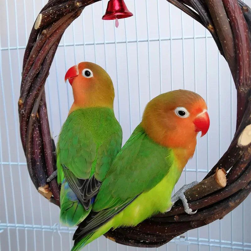 Bird Standing Frame Rattan Ring Chewing Toy Bird Cage EX-STOCK Canada