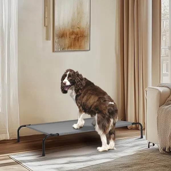 50D X 31W X 8H Dog Bed - EX-STOCK Canada