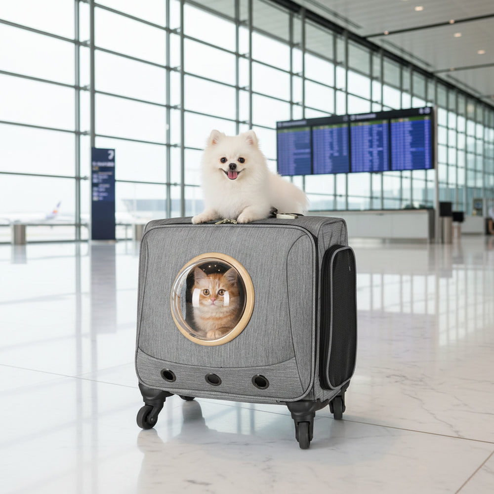 Universal-wheel Portable Pet Travel Carrier | EX-STOCK Canada