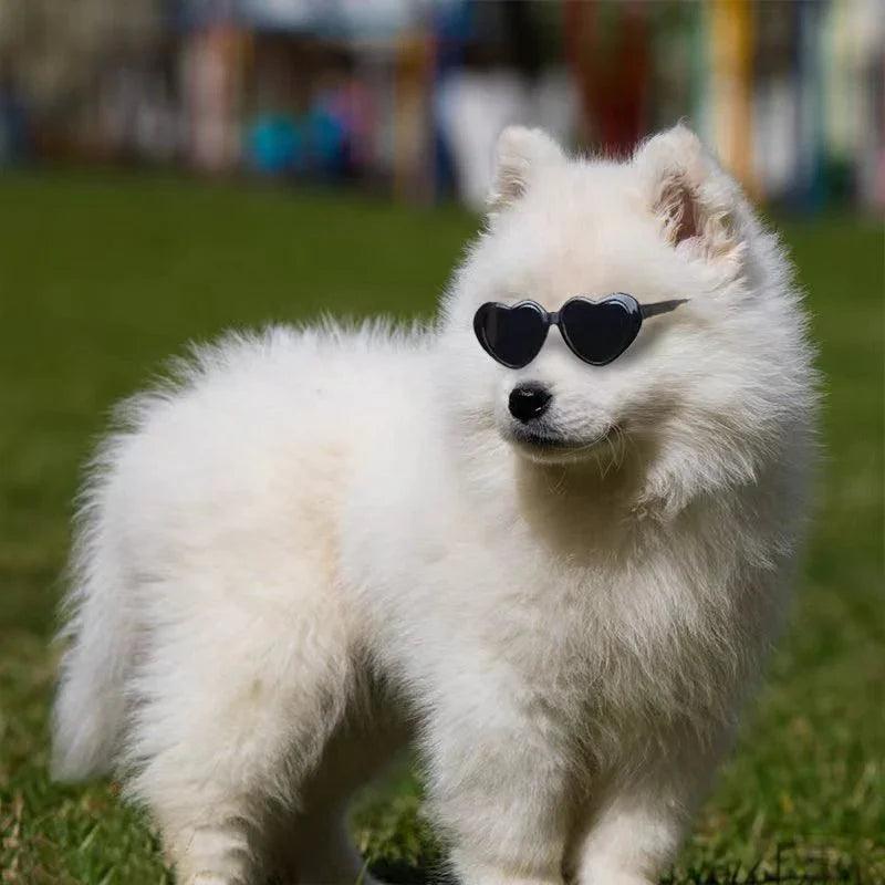 Doll Sunglasses Pet Toy Accessories EX-STOCK Canada