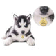 Funny Personalized POD Collar Pet ID Tag Keychain - EX-STOCK Canada